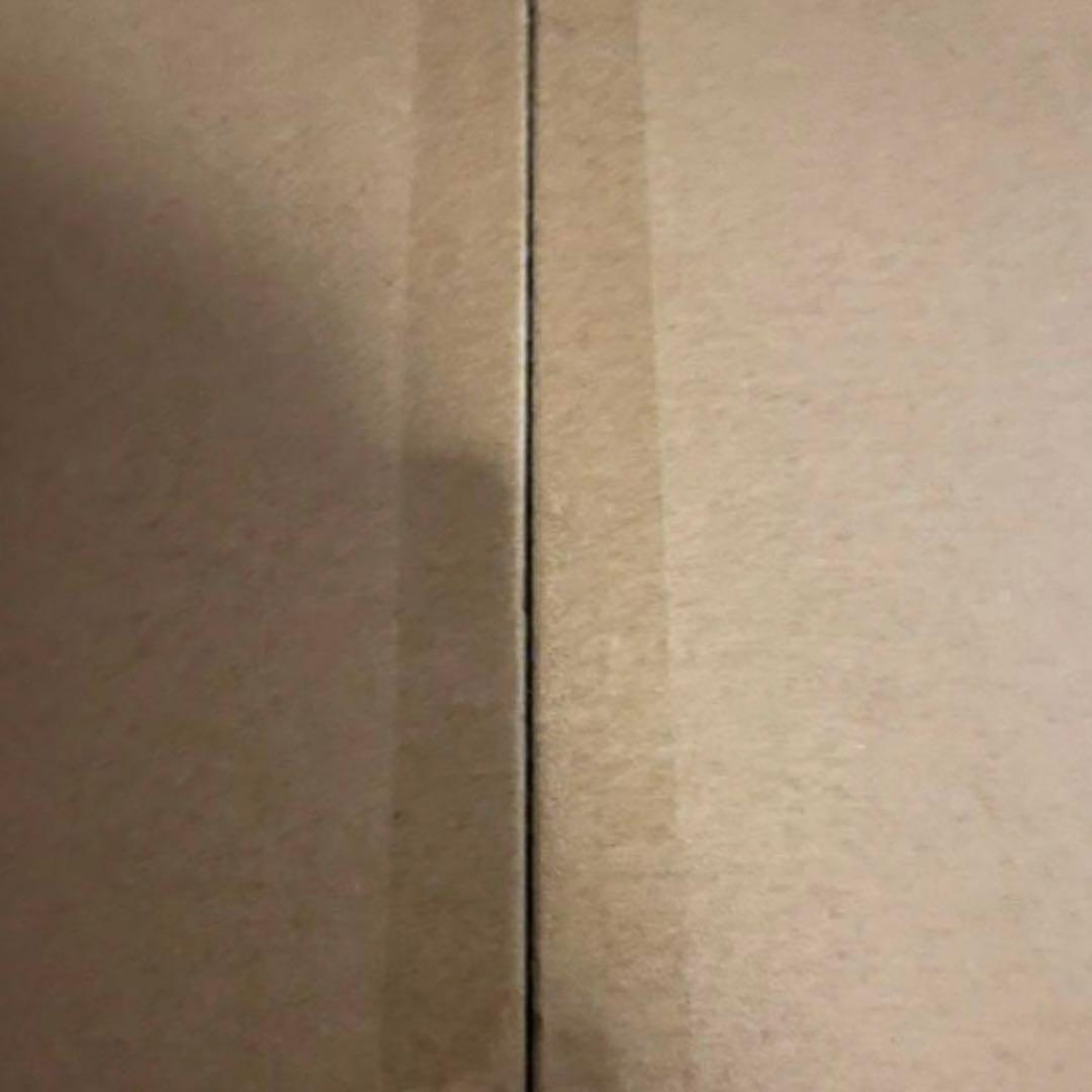 【新品】バイオリン 初心者セット ケース付き 4/4