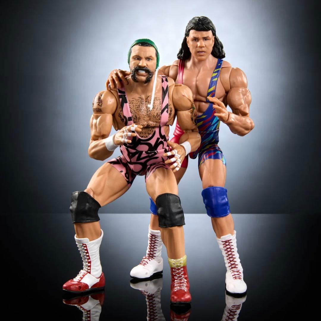 【新品未使用未開封】WWE 公式 シュタイナーブラザーズ フィギュア 日本未発売