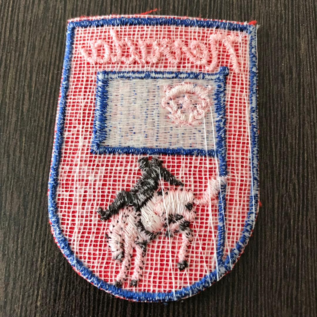 ヴィンテージ 刺繍 ワッペン 1970 1980 アメリカ ネバダ州 A