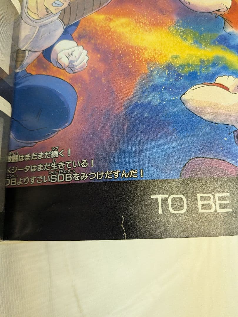 も*ぃ様 超希少品！フルコンプリート!!ドラゴンボールZ ファイルブック