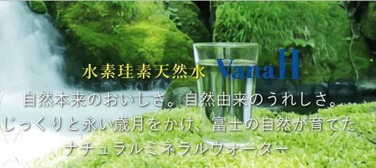 【送料無料】バナエイチVanaH　水素珪素天然水500ml×24本入り×２セット