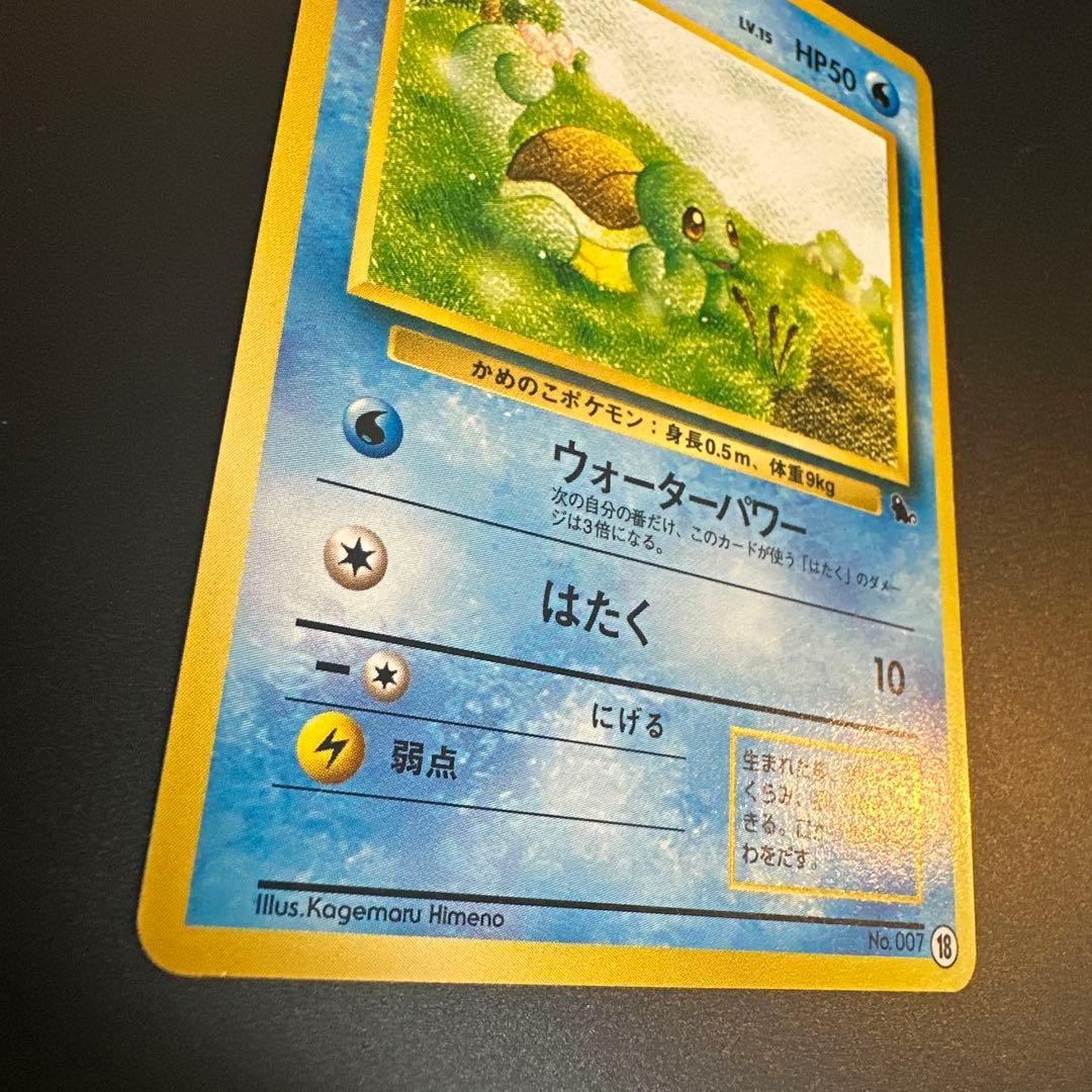 【旧裏】マークなしゼニガメ含む3枚セット