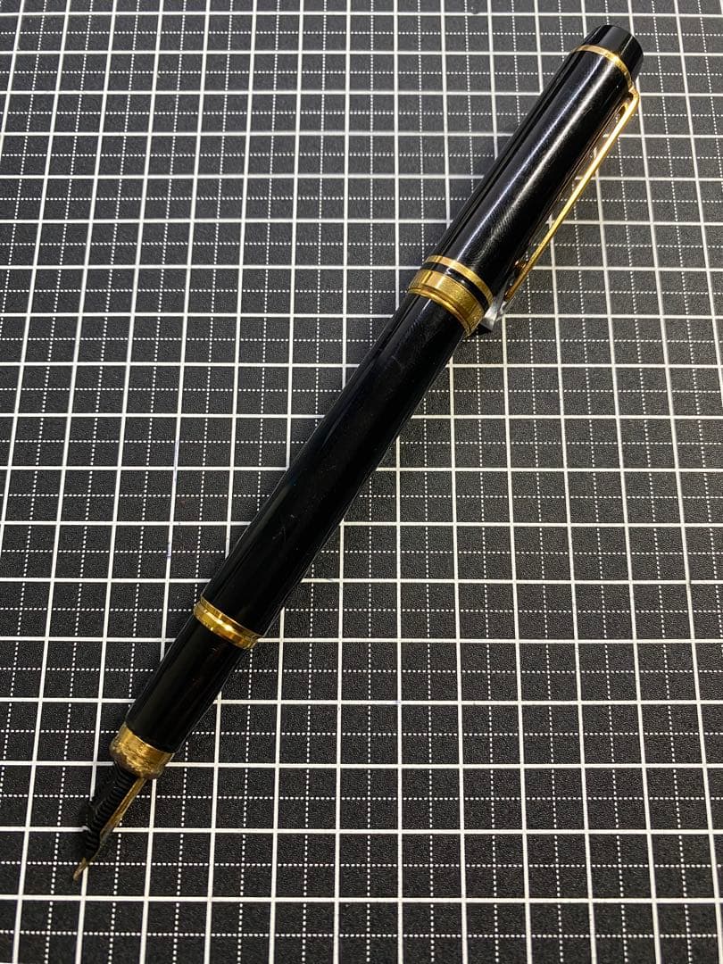 WATERMAN LE・MAN 100 万年筆　字幅F程度