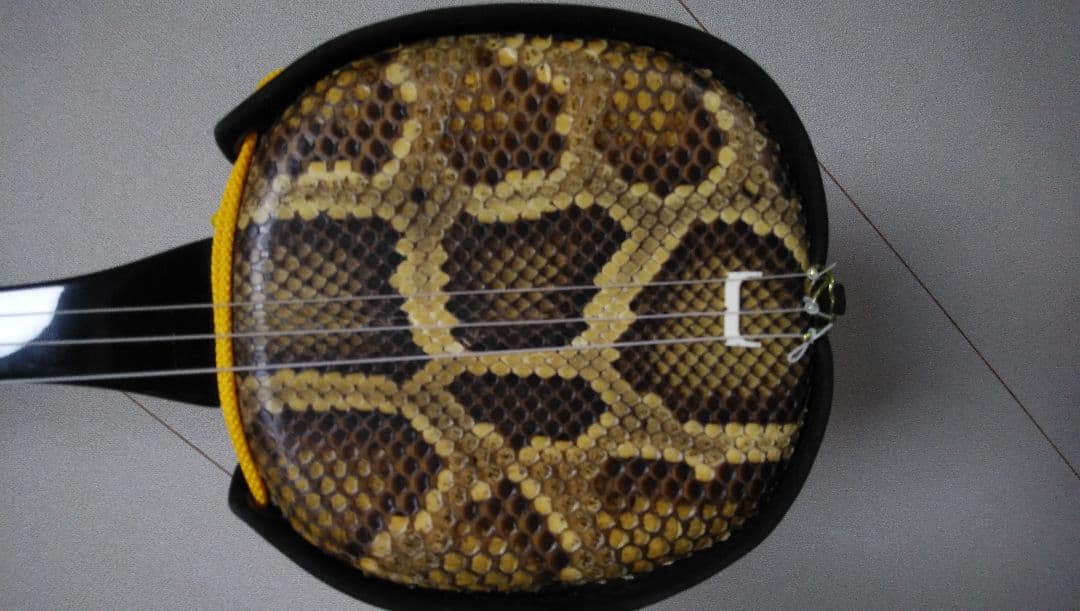 【美品】池武当島新垣三線店 紫檀 三線 本体 ケース付き【スタンダードモデル】