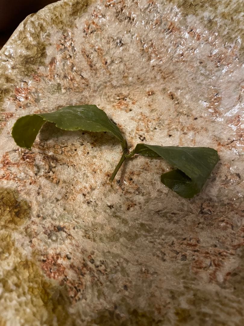 【台湾好茶】頂級 福壽梨山高冷茶150g 新入荷2025春茶