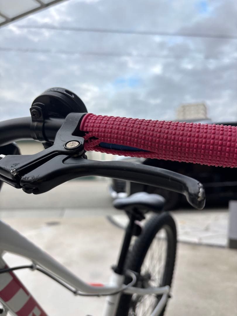 Trek Precaliber 24 マウンテンバイク　キッズバイク