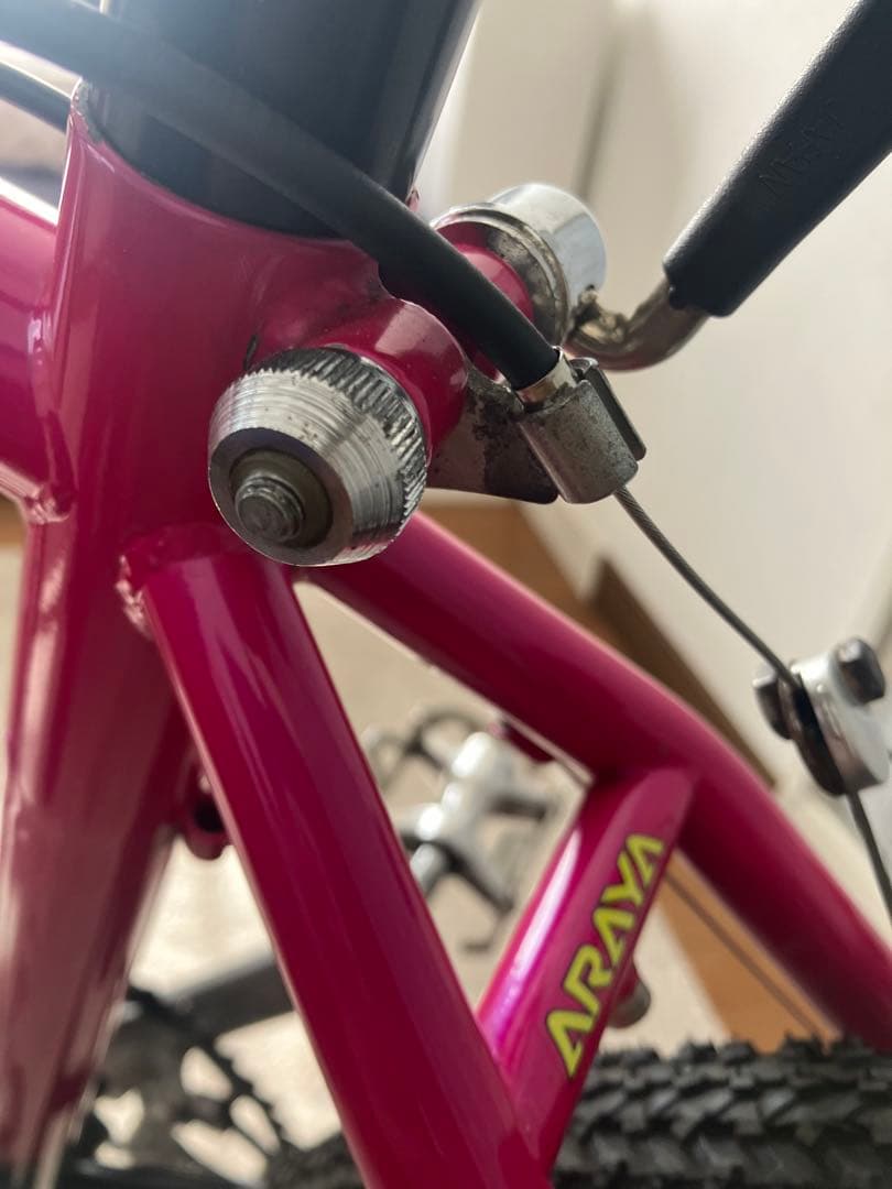 専用です。Muddy Fox OLD MTB araya