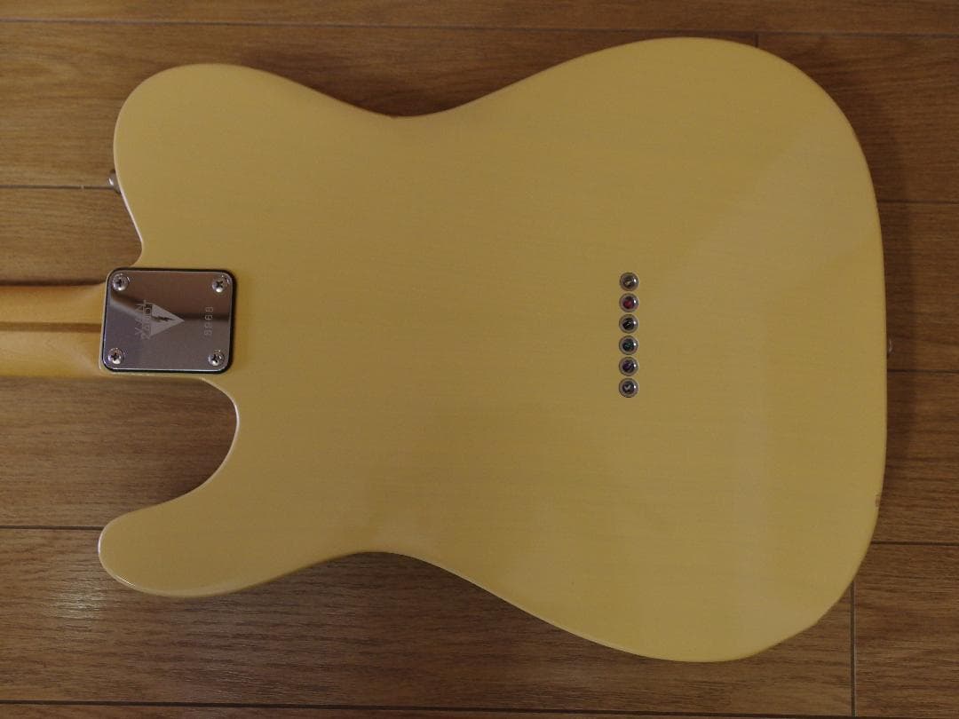 Vanzandt ヴァンザント テレキャスター TLV-R1