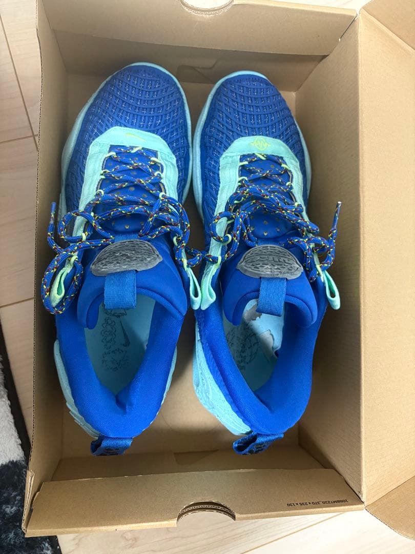 シューズ(男性用) Nike cosmic unity TB