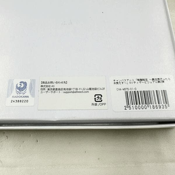 へ*可様 未使用・長期保管　無職転生～異世界行ったら本気だす～　キャンパスアート