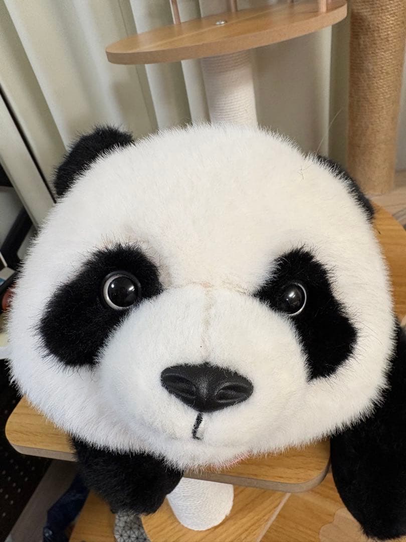 「中国成都限定」パンダ　ぬいぐるみ
