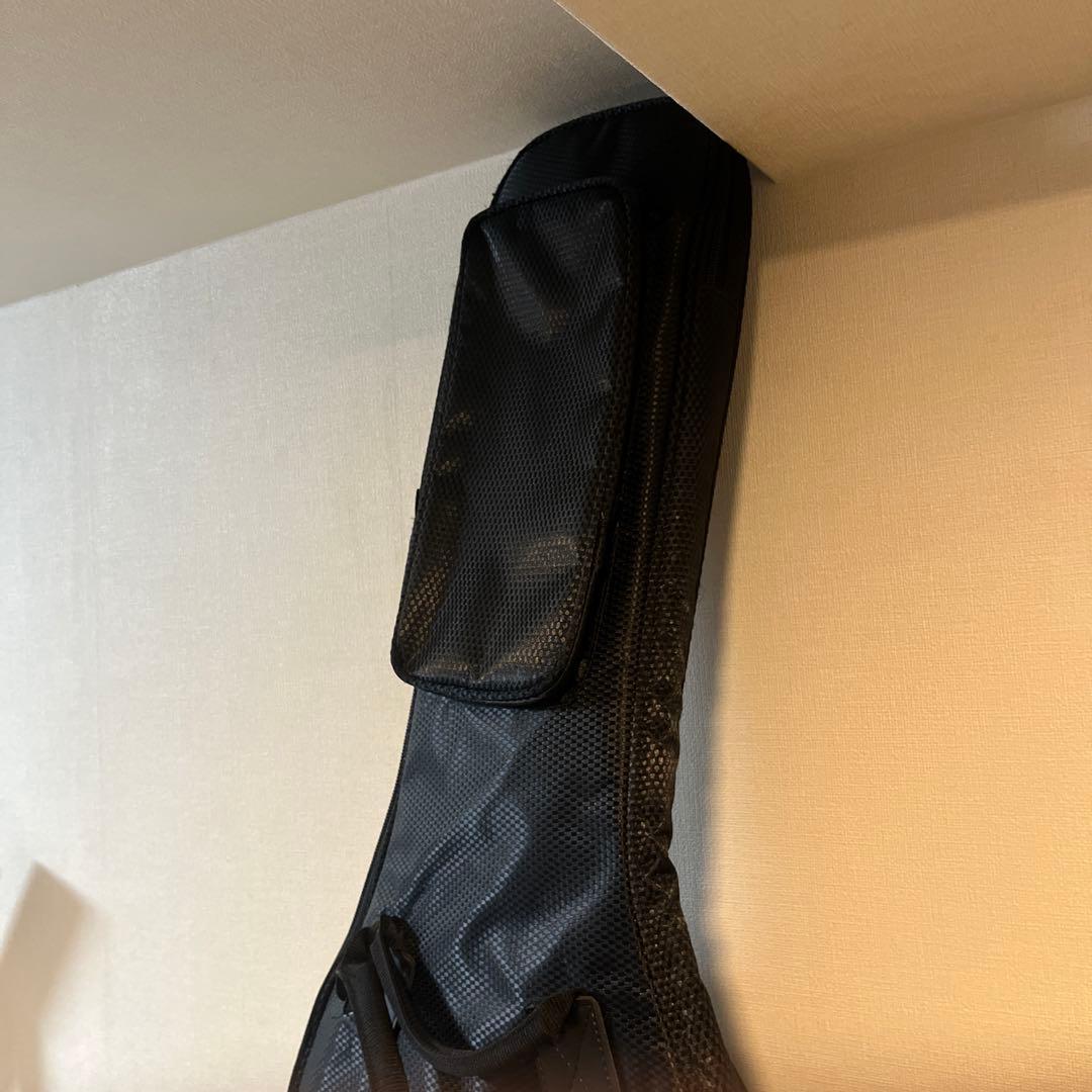 ESP　TL-6　LTD　エレアコ　ギター