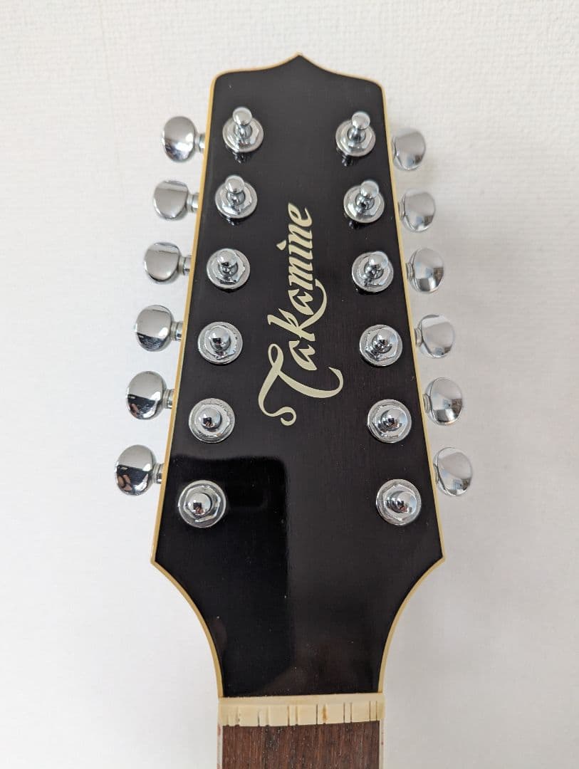 訳あり Takamine NPT110-12 12弦エレアコギター タカミネ