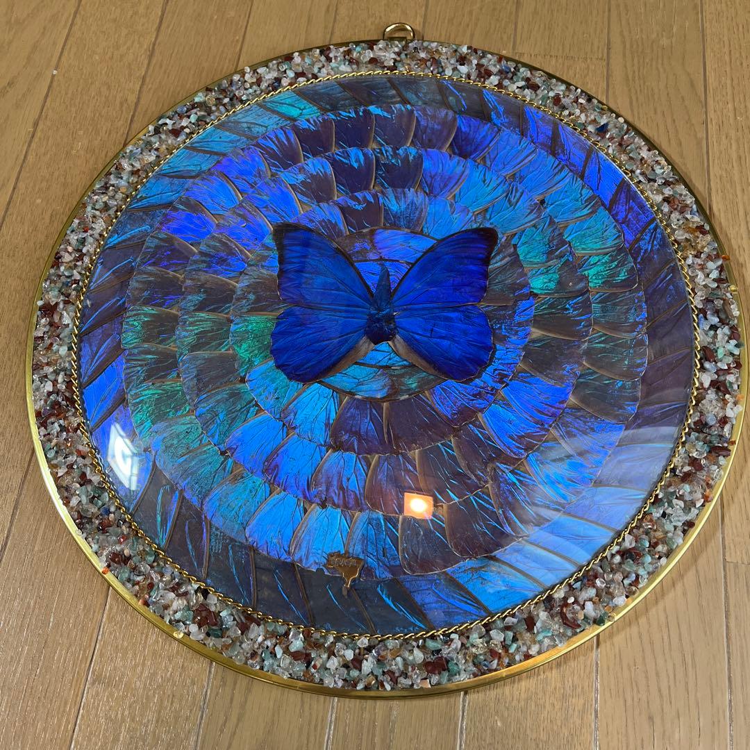 青色蝶　円形　壁掛け