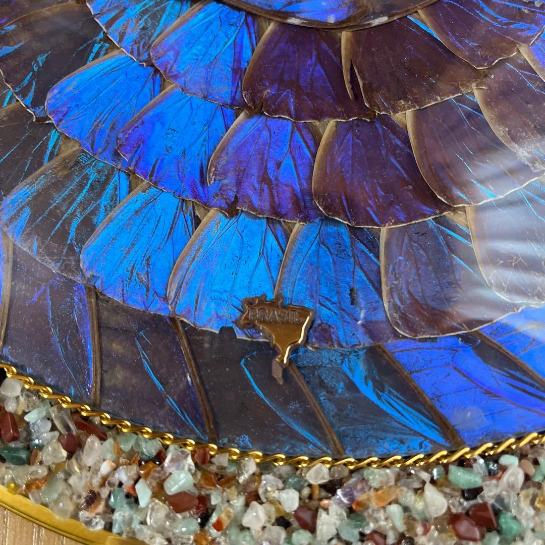 青色蝶　円形　壁掛け