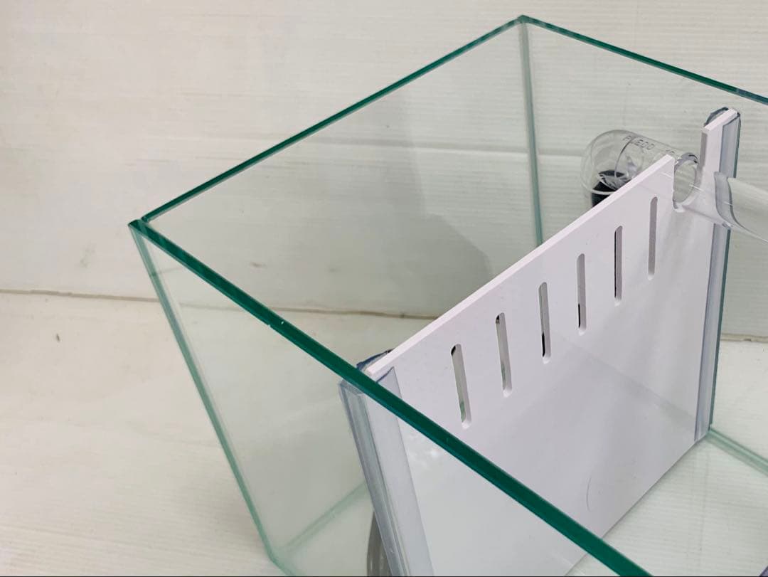 ラスト1台　オールガラス特注600×200×200　2室水槽　パンチング仕切り板