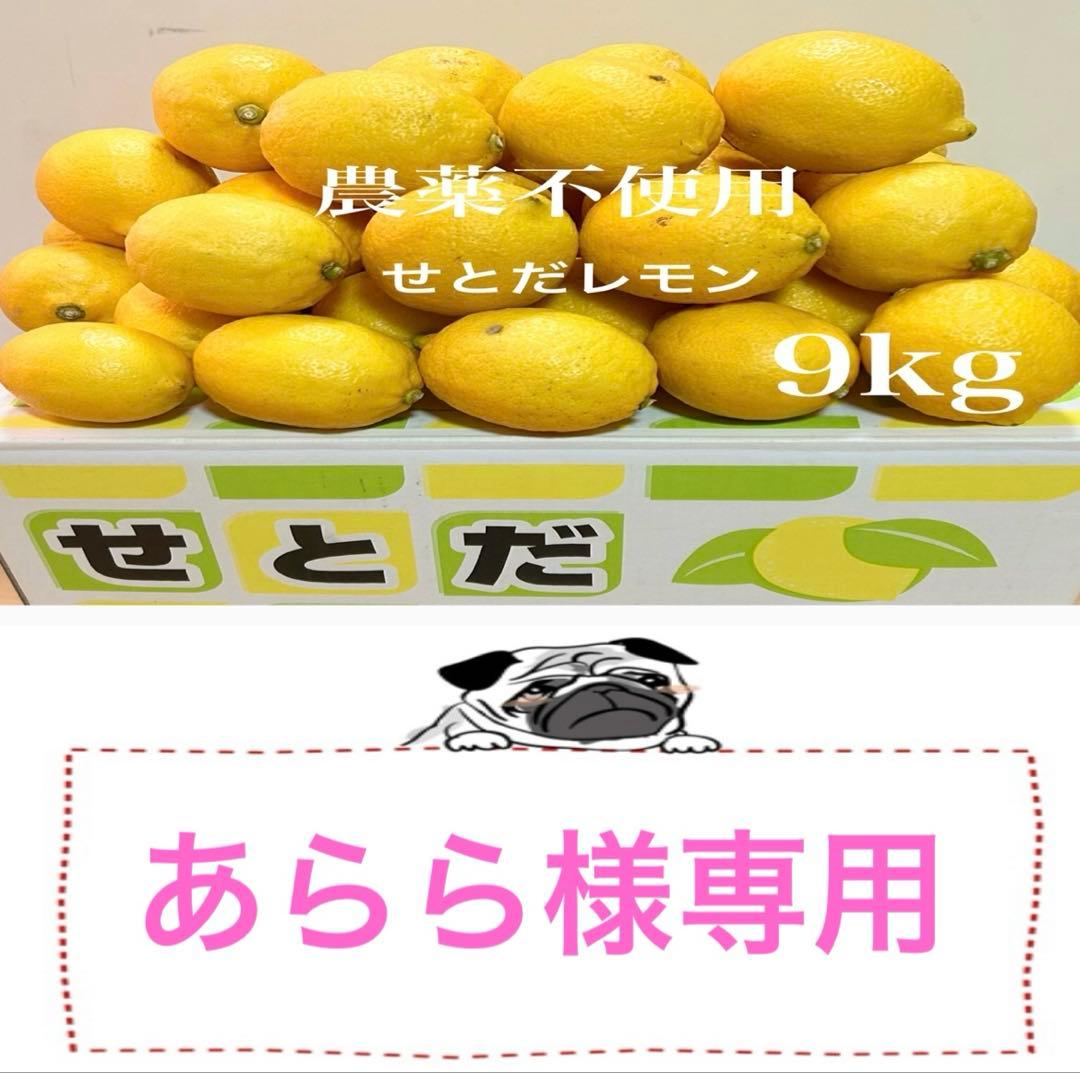 ♥︎国産瀬戸田レモン9kg前後　あらら様