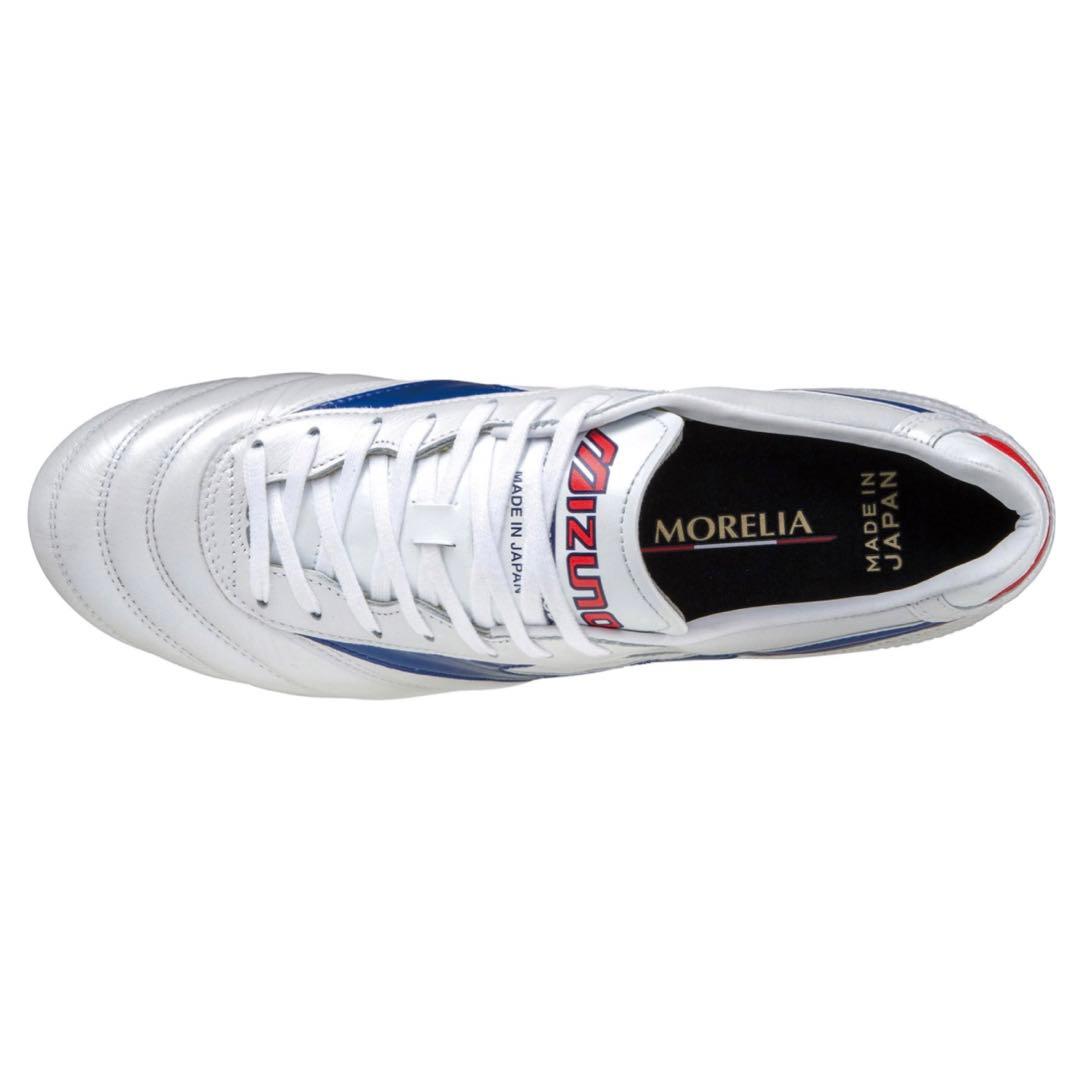 1500足限定カラー モレリア2Japan 28cm