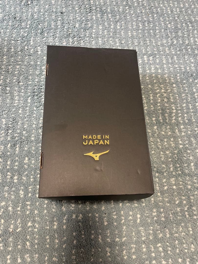 1500足限定カラー モレリア2Japan 28cm