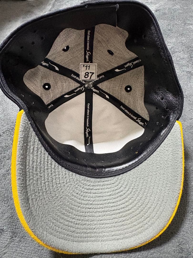 阪神タイガース 中村豊コーチ　実使用 支給品 プロコレ