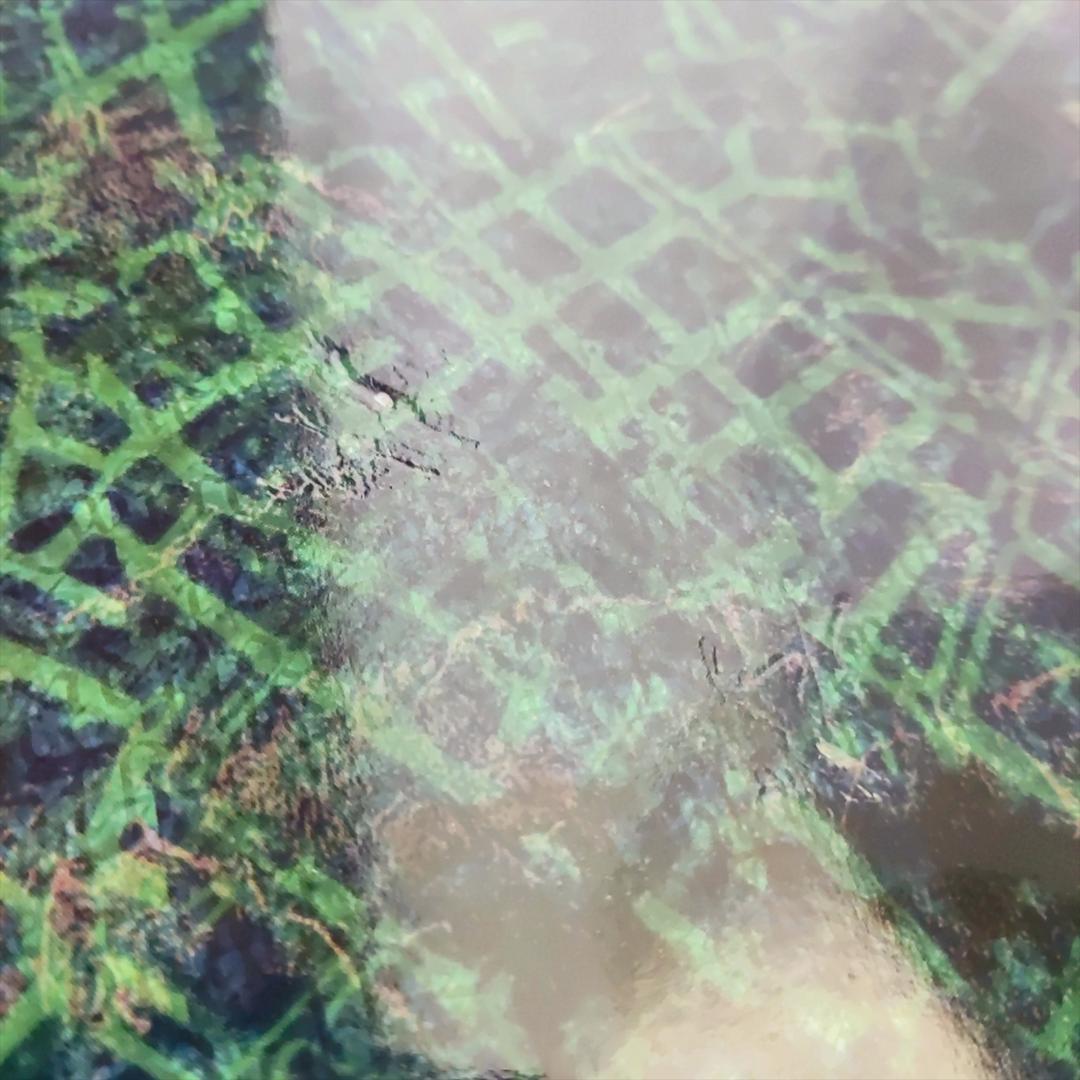 DEATH NOTE　Lを継ぐ者 コナミスタイル特別版 特典ボードゲーム