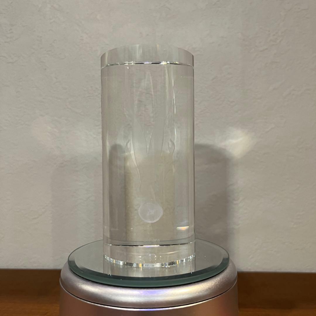 EVA STORE オリジナル メモリアルクリスタル　綾波レイ 美品