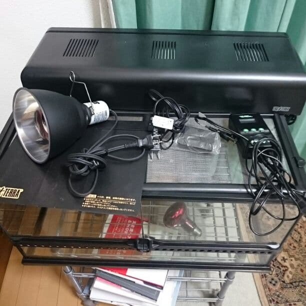 【英二さん専用】リクガメの飼育セット