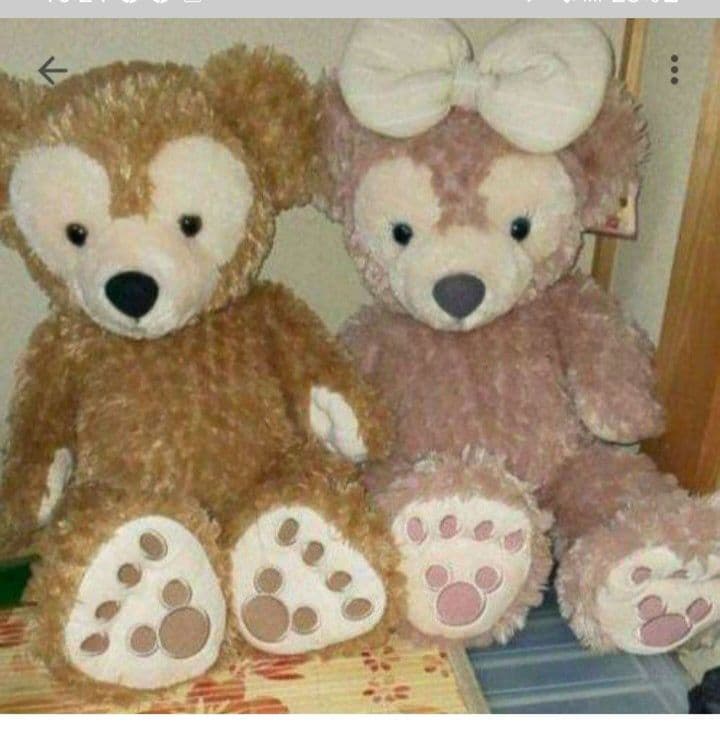 ダッフィー&シェリーメイ　M