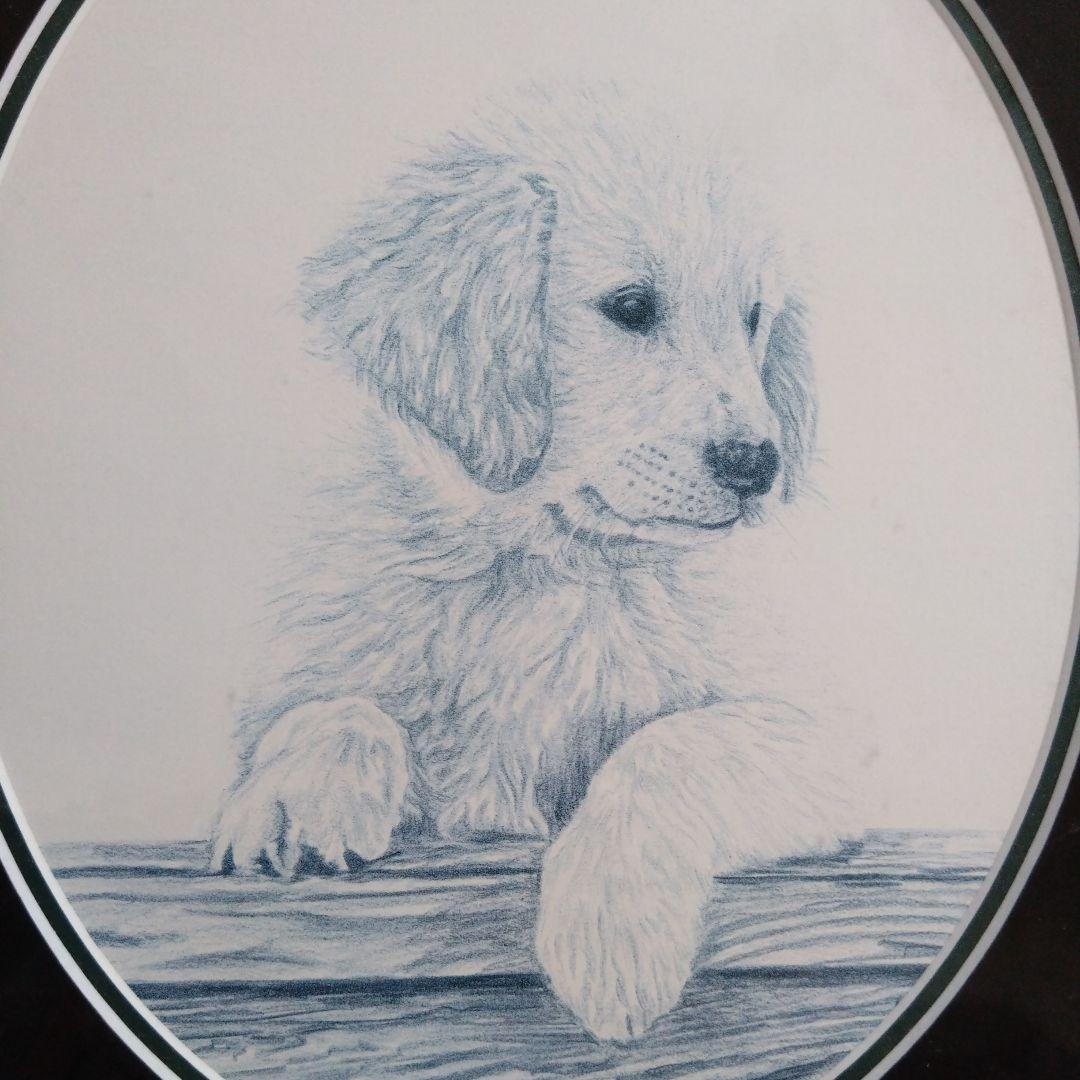 *＊*Kathy Hagerman ❧SIENNA❦ ゴールデンレトリバー*＊*