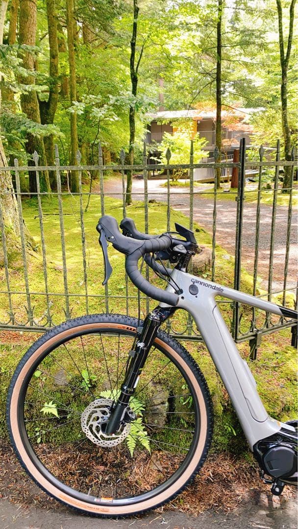 稀少CANNODALE e-bike TOPSTONE Carbon lefty