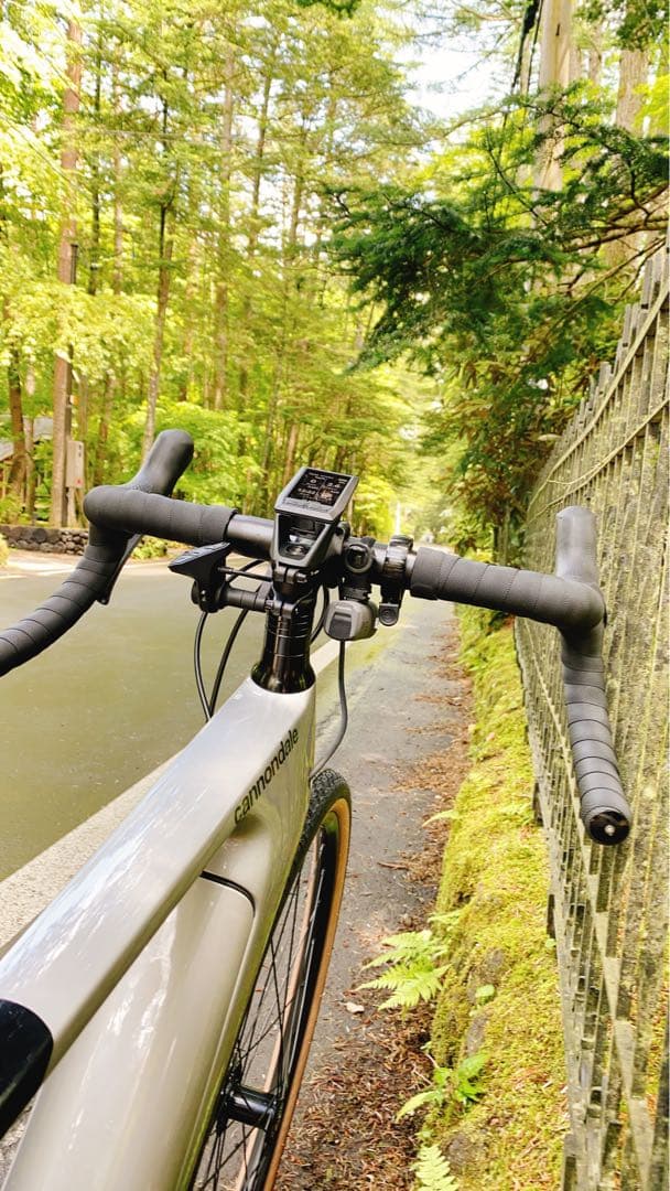 稀少CANNODALE e-bike TOPSTONE Carbon lefty