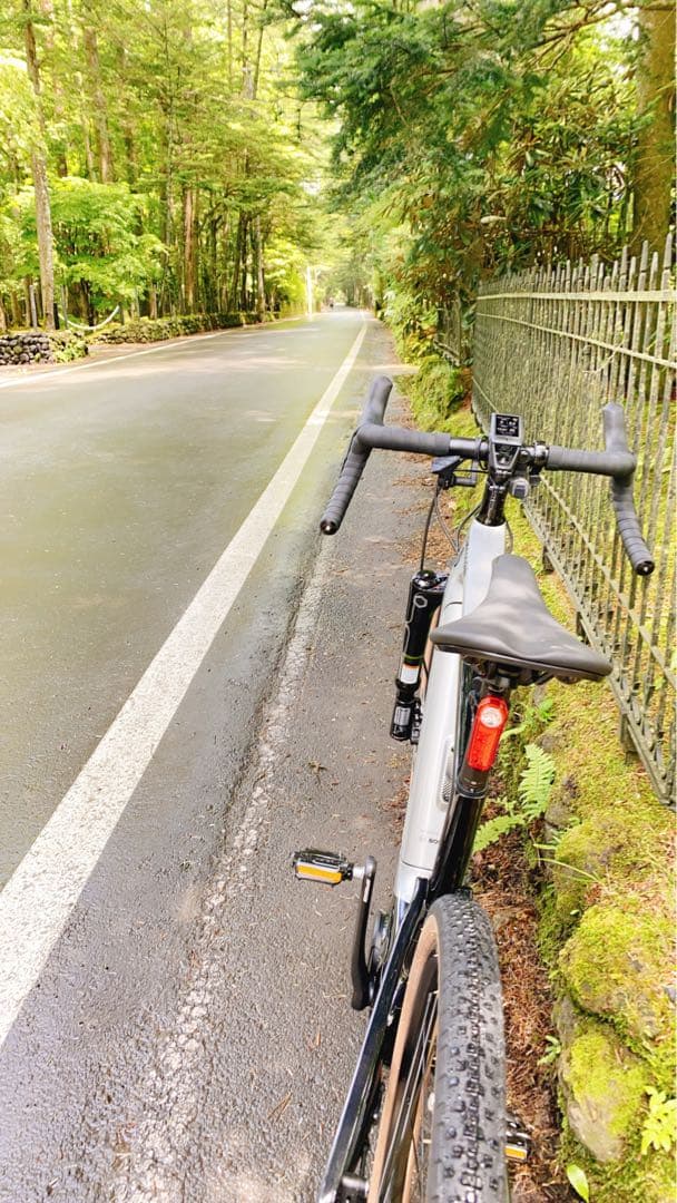 稀少CANNODALE e-bike TOPSTONE Carbon lefty