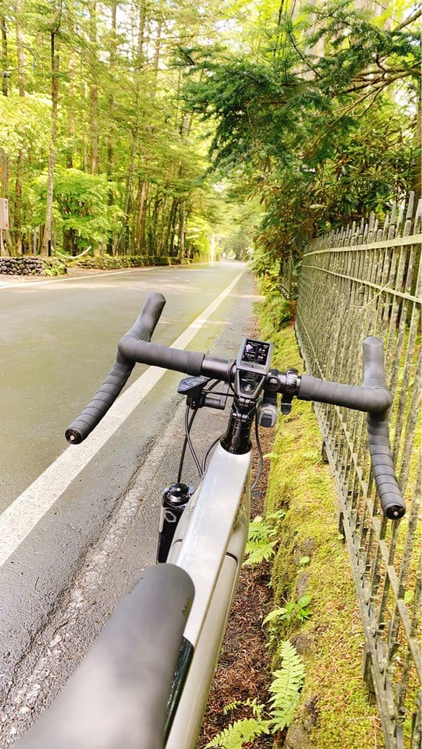 稀少CANNODALE e-bike TOPSTONE Carbon lefty