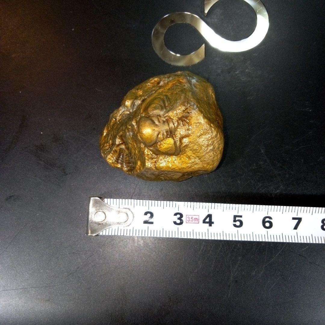 三葉虫　化石　fossil　ボリビア産　レア　Fossil管理④