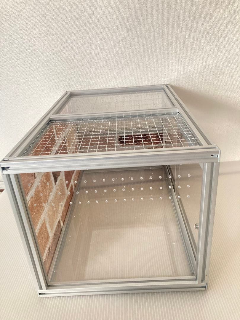 小動物、爬虫類