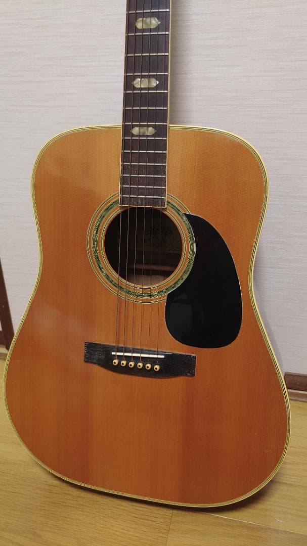 ギター ThreeS W-200