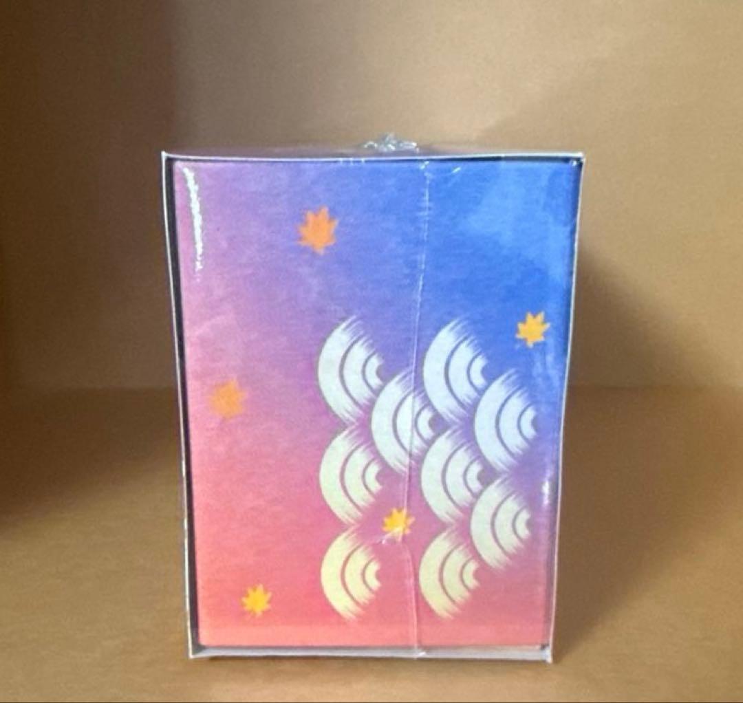 スペシャルBOX ポケモンセンターヒロシマ 新品未開封品 ヒロシマのピカチュウ