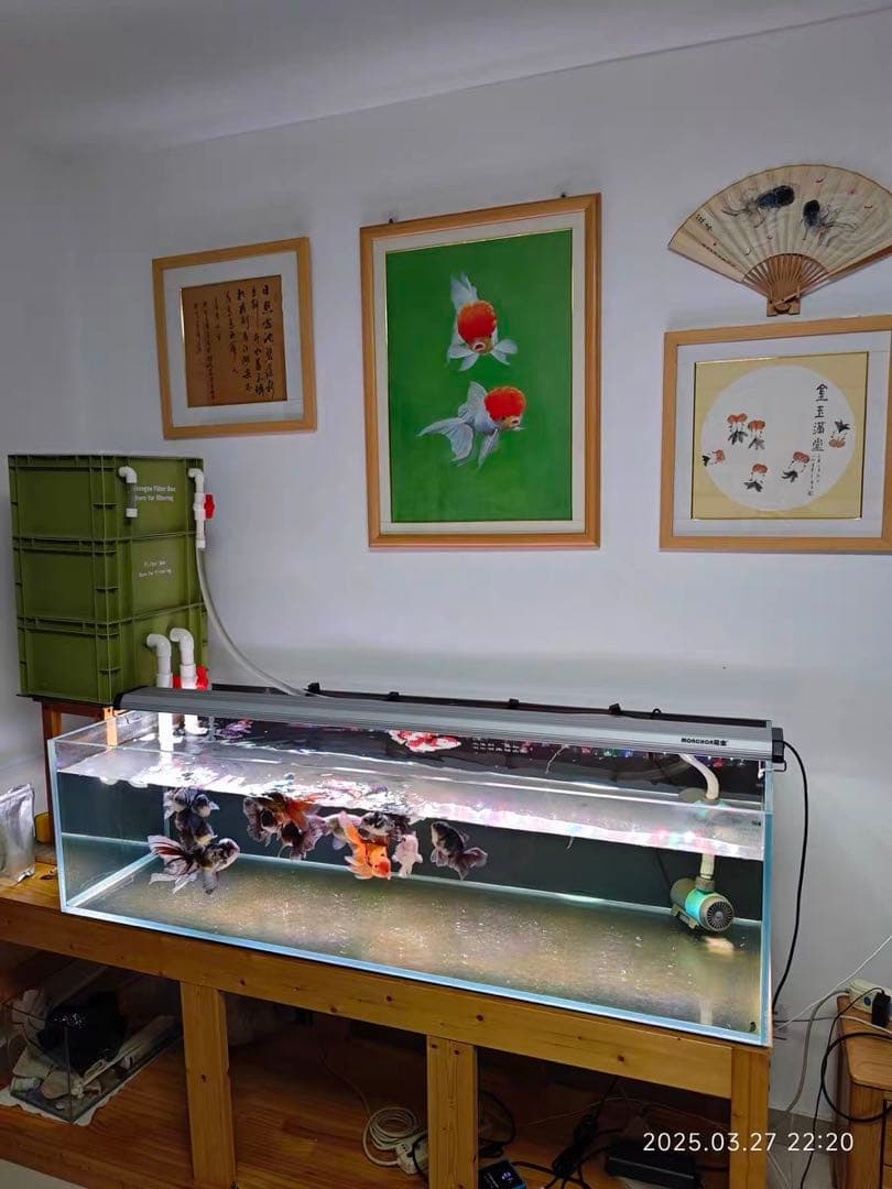 【1点限り訳あり特価】 水槽池用フィルター 濾過槽 濾過装置器