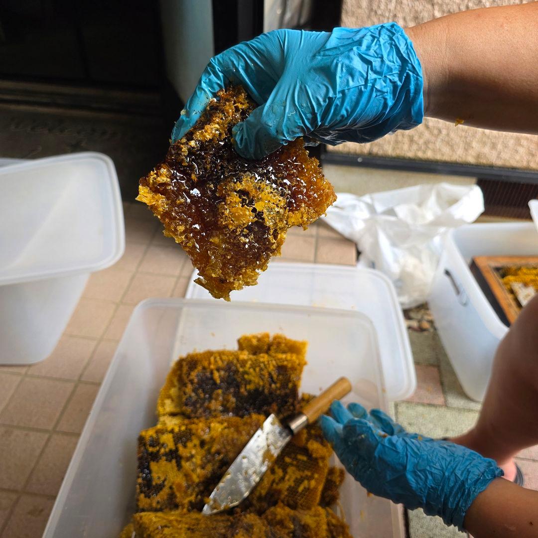 日本蜜蜂　百花蜜　500g×2本　セール中