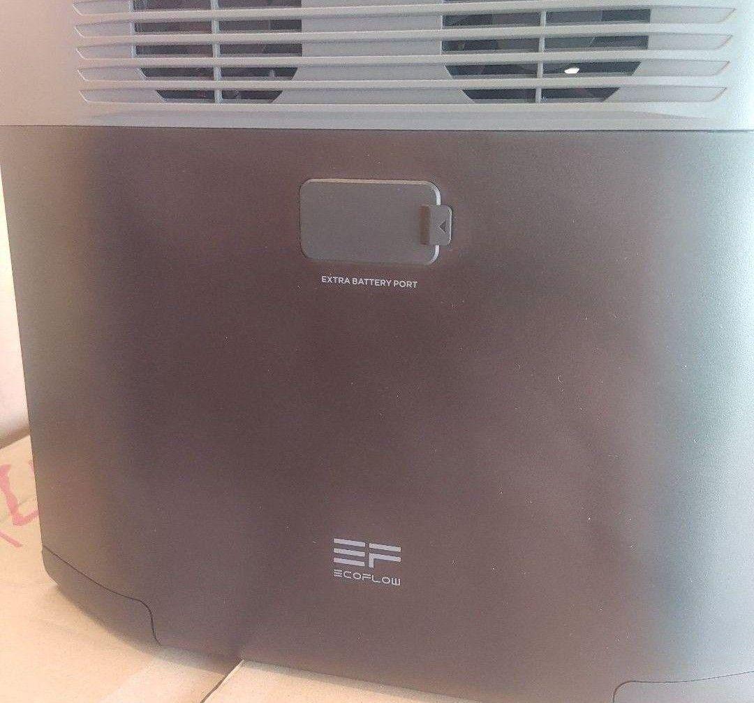 ミ*ー様 正規整備済品　EcoFlow DELTA 2 ポータブル電源