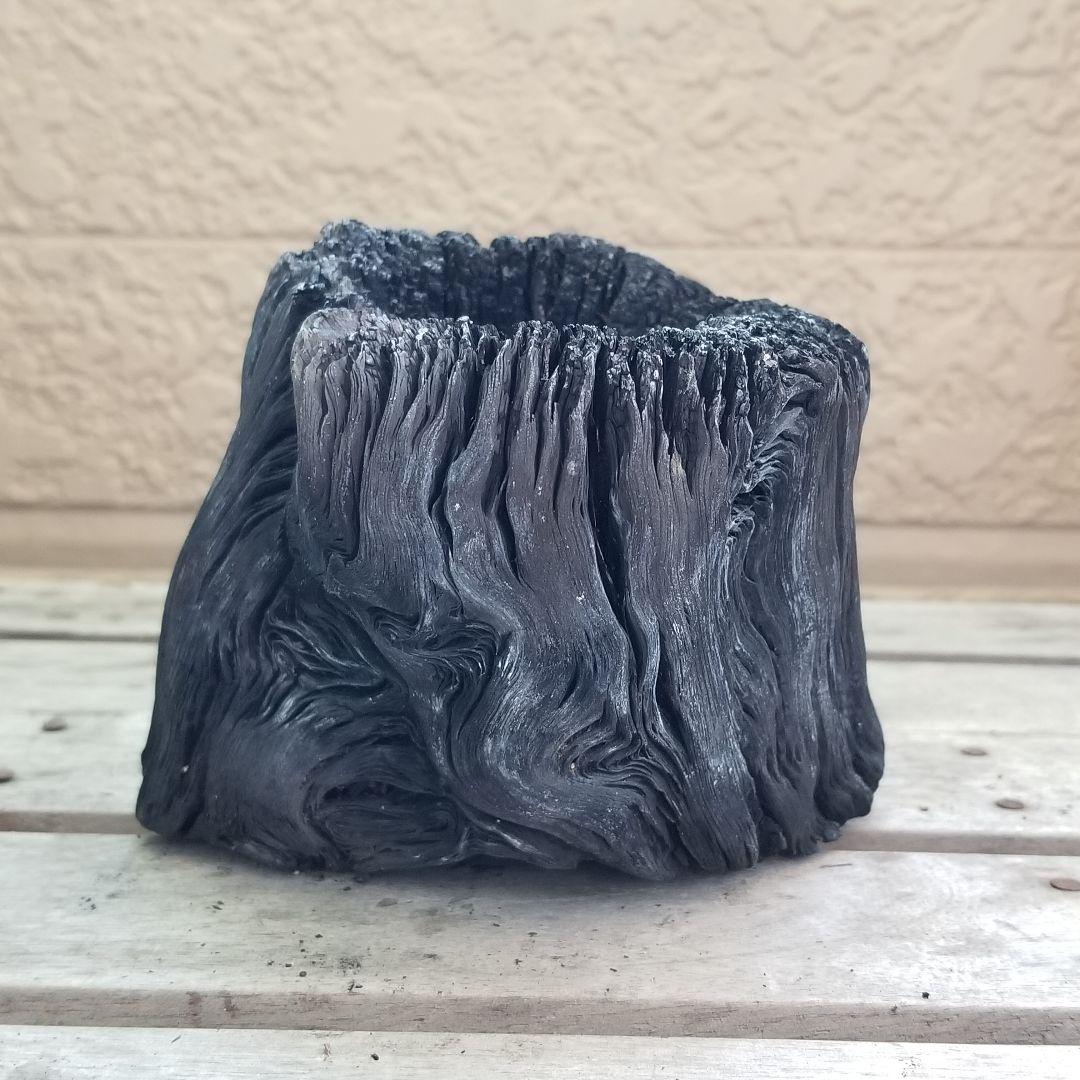 天は皿状　紀州備長炭オブジェ　一点もの　希少