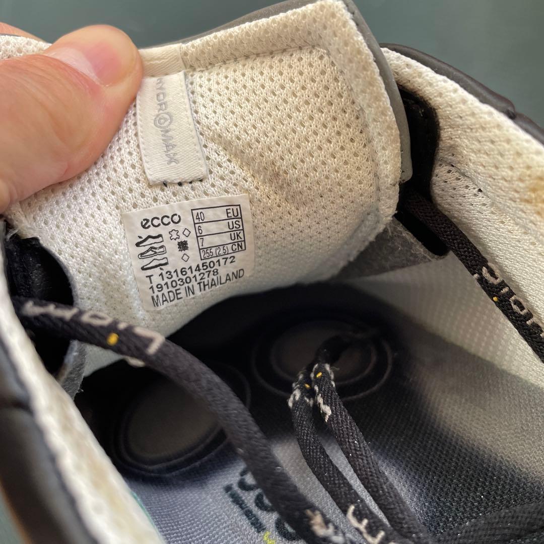 エコーゴルフシューズBion 25.5cm未使用