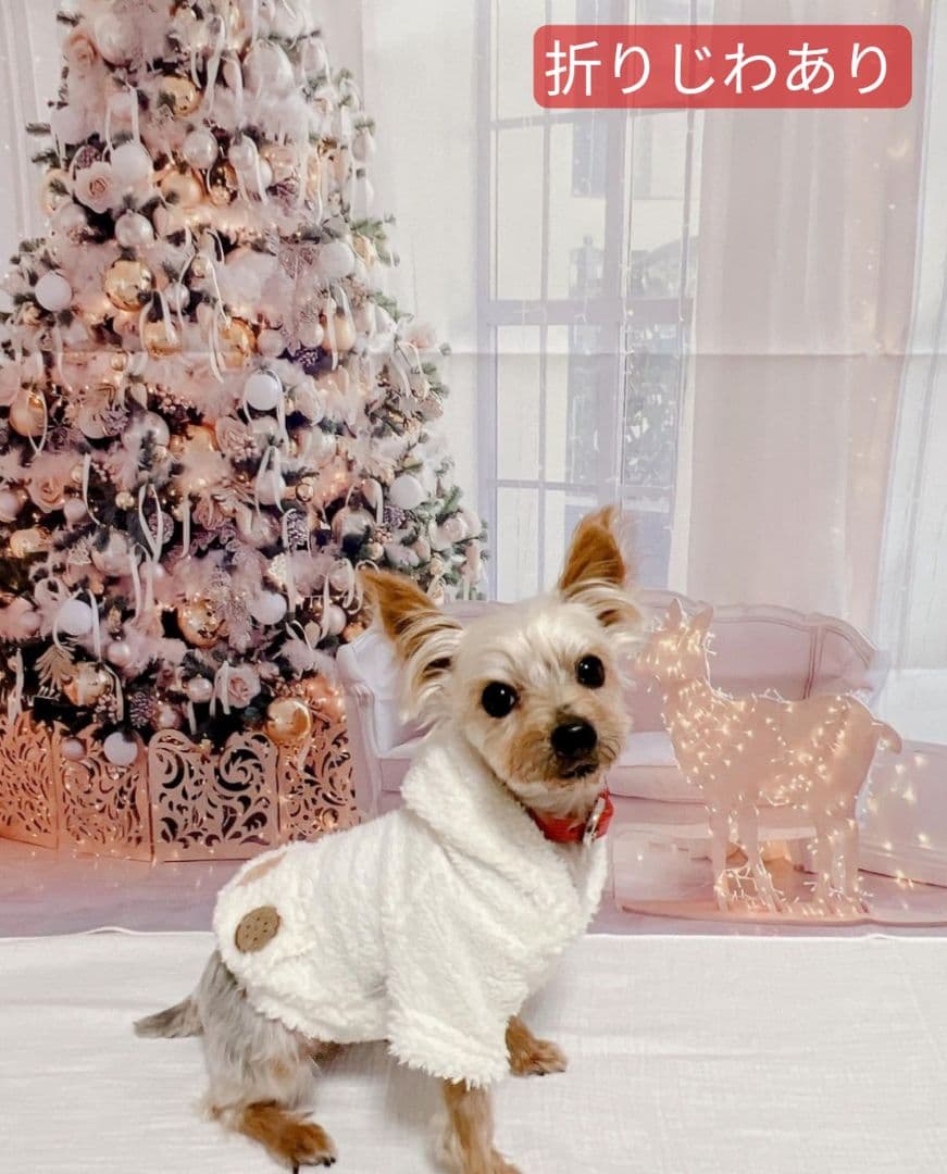 業務用　2026年お正月トリミングチョーカー+背景布×3　ペット、犬撮影用ブース