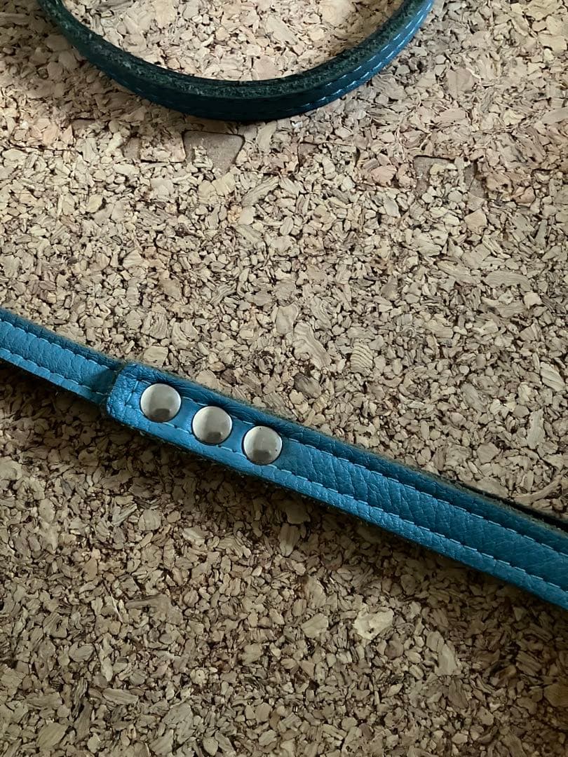 バディベルト　オールレザー 限定カラー ハーネス５号とリードS