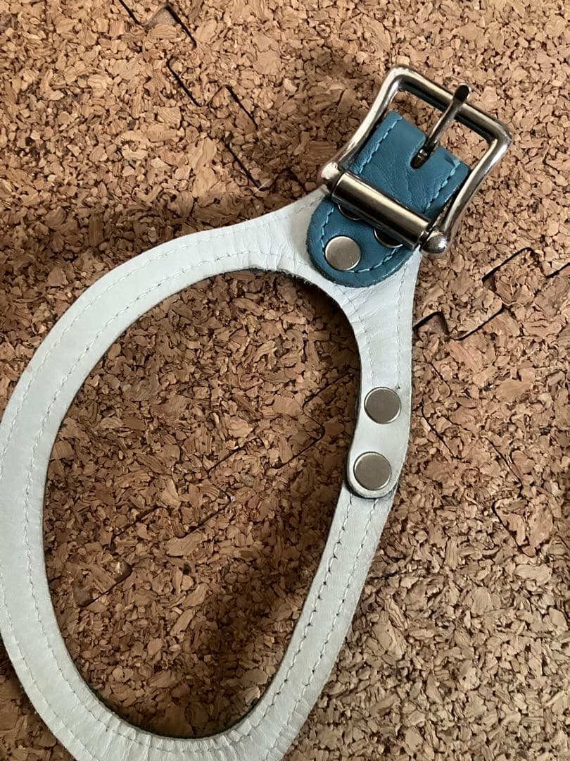 バディベルト　オールレザー 限定カラー ハーネス５号とリードS