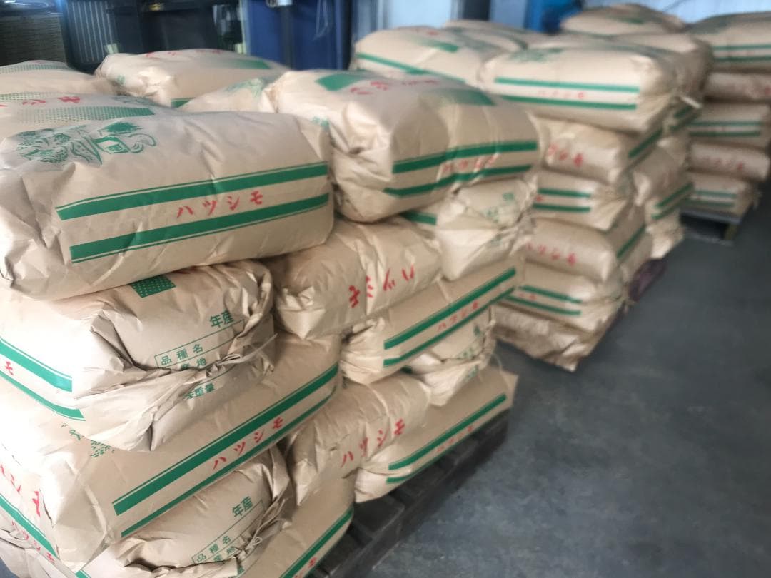 幻のお米　令和7年度『いのちの壱』　岐阜県産　新米 　玄米 ３０kg 　送料無料