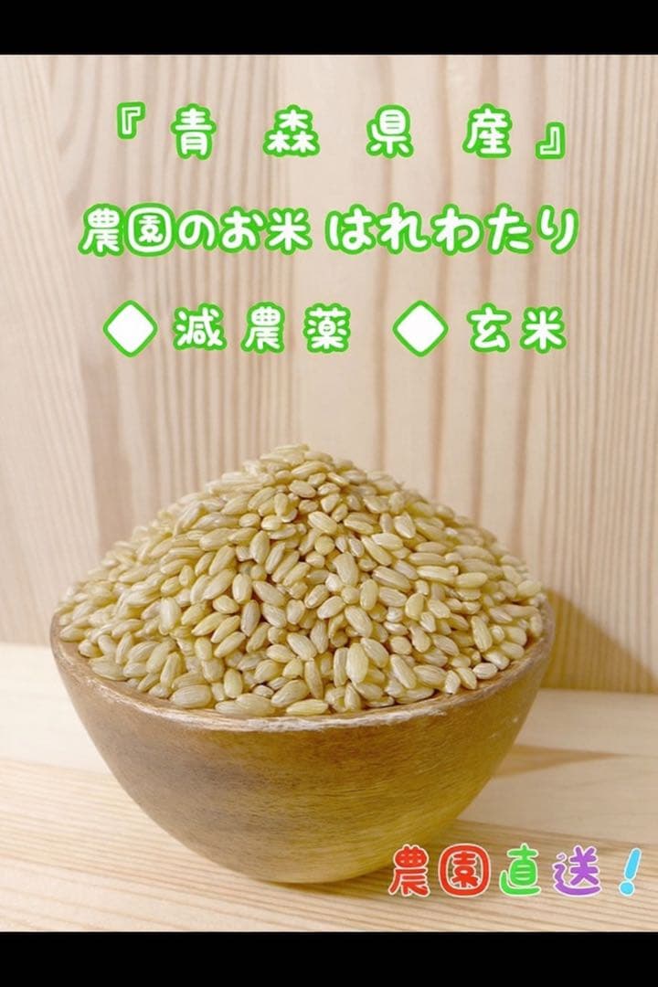 青森県産はれわたり玄米20キロ