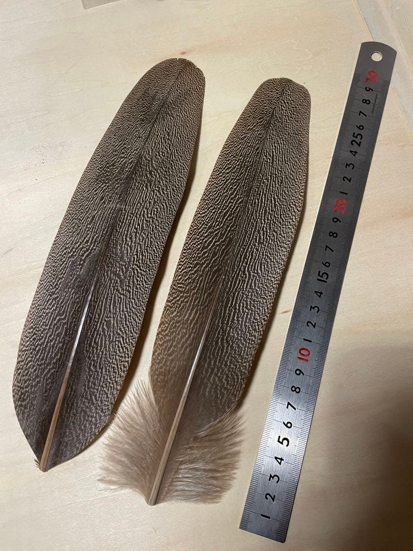 candlestickmaker 様