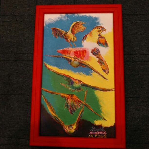 アメリカハヤブサ