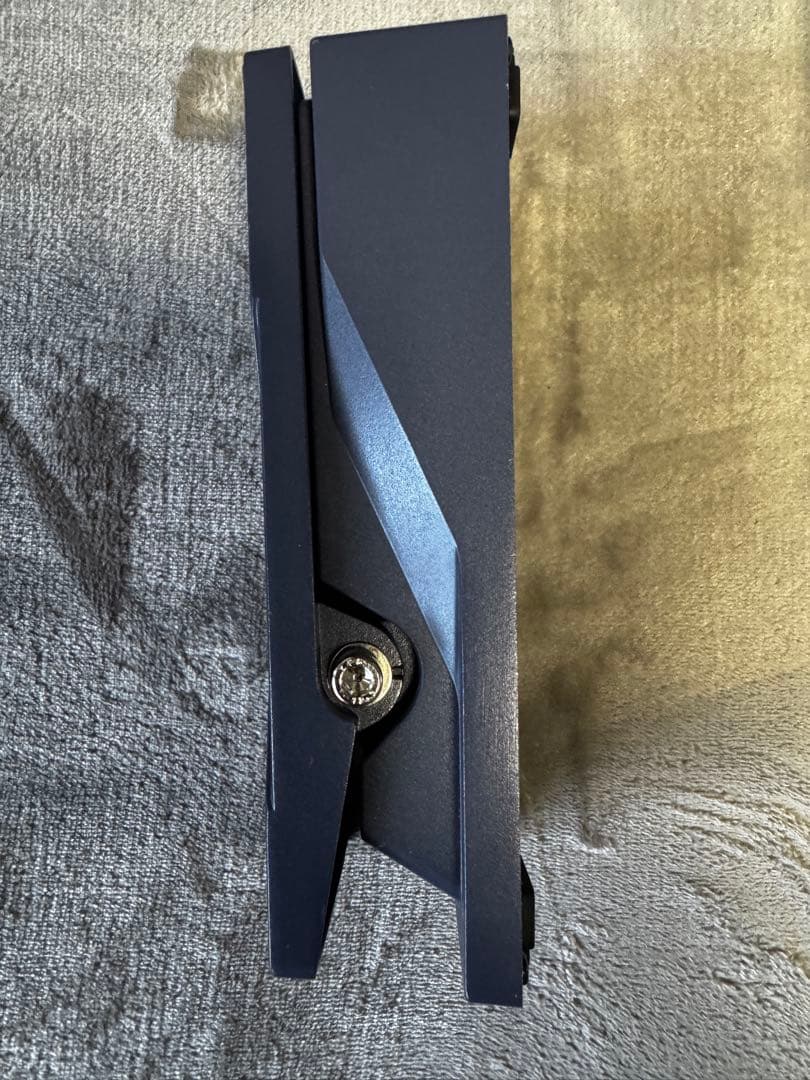 BOSS ボス EV-30 中古